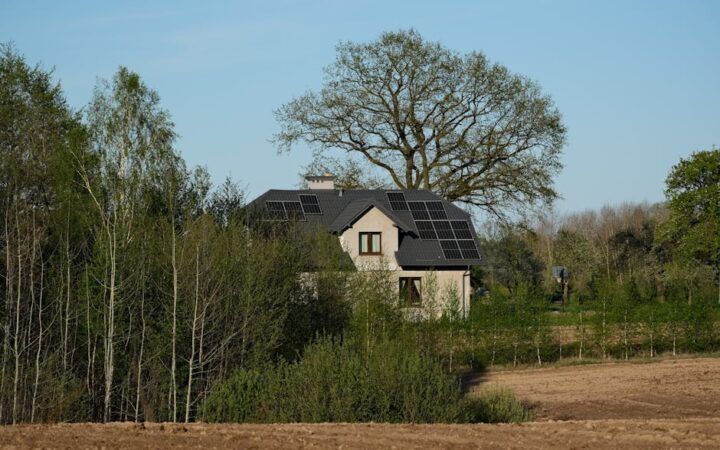 Why Green Homes Are the Future of Real Estate