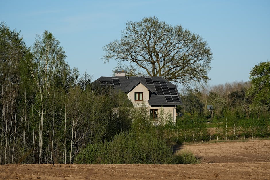 Why Green Homes Are the Future of Real Estate